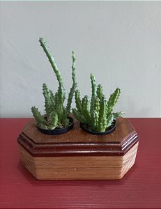 Cachepô ou Cachepot em madeira (32)