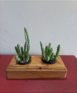 Cachepô ou Cachepot em madeira (28)