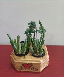 Cachepô ou Cachepot em madeira (26)