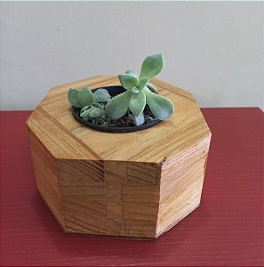 Cachepô ou Cachepot em madeira (08)