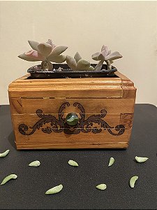 Cachepô ou Cachepot em madeira (19)