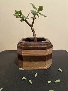 Cachepô ou Cachepot em madeira (22)