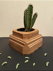 Cachepô ou Cachepot em madeira (18)