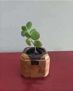 Cachepô ou Cachepot em madeira (05)