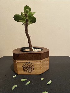 Cachepô ou Cachepot em madeira (12)