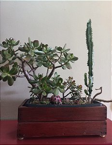 Cachepô ou Cachepot em madeira (Jardineira 01)