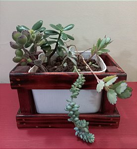 Cachepô ou Cachepot em madeira (F-03)