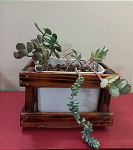 Cachepô ou Cachepot em madeira (F-06)