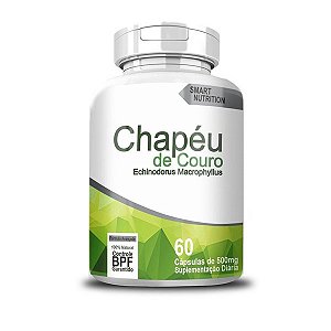 Chapéu de Couro 500mg 60caps - 4 Elementos