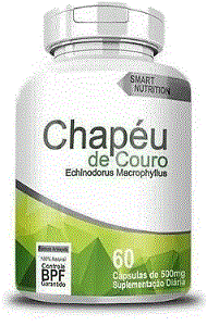Chapéu de Couro 500mg 60caps - 4 Elementos