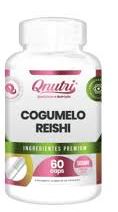 COGUMELO REISHI 60CAPS 500MG QNUTRI