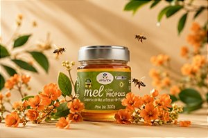 Mel com Própolis 300g - Apisvida