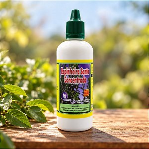 Espinheira Santa em Gotas 100ml - Vida Ervas