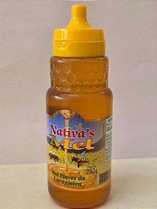 Mel Bisnaga 280g - Flor de Laranjeira - Nativa's