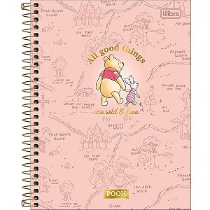 CADERNO UNIVERSITÁRIO 1 M POOH