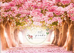 Jardim