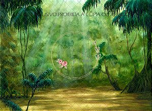 Selva