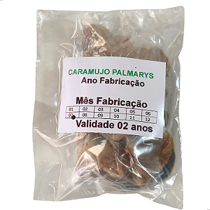 Caramujo de Água Salgada Desidratado Dúzia