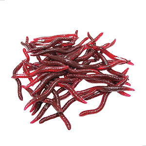 Kit Isca Artificial Minhoca 4cm 0,5g