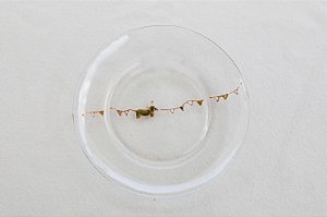 PRATO PEQUENO / CACHORRO VERDE