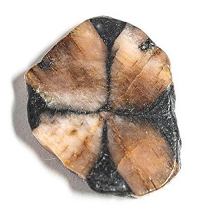 Pedra da Cruz Quiastorita familia Andaluzita Natural 133280