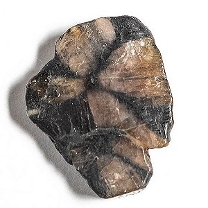 Pedra da Cruz Quiastorita familia Andaluzita Natural 133295