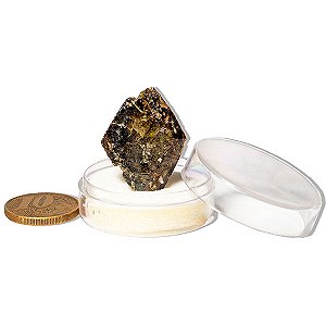 Esfênio Titanita Verde Mineral Natural No Estojo Para Colecionador Exigente