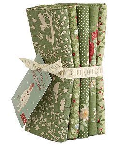 PRÉ VENDA - KIT 02 C/5 FATS Green