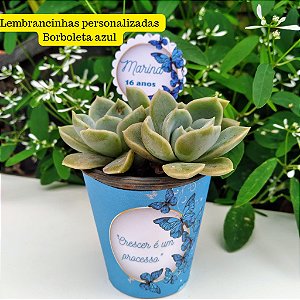 Lembrancinhas de suculentas- Borboleta azul