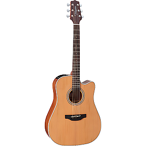 VIOLAO TAKAMINE GD20CE NS FOSCO & TP4TD