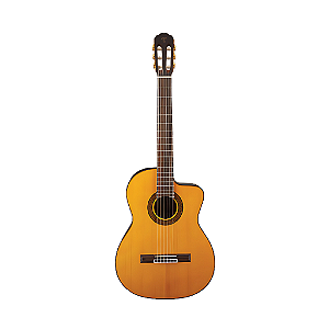 VIOLAO TAKAMINE GC5CE N & TP4T