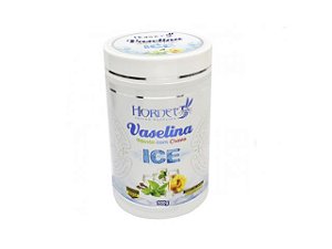 Vaselina Sólida Ice Hornet - 900g