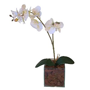 Arranjo orquídeas brancas, vaso de vidro incolor  13x48 cm