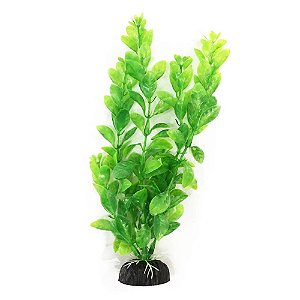 Soma Planta Plástica 20cm (mod.404)