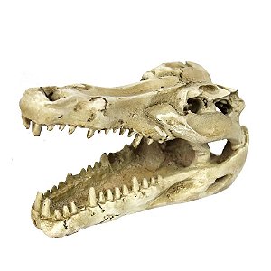 Nomoy Pet Enfeite Crânio de Crocodilo 13cm (NS-60)