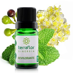Sinergia de Óleos Essenciais Revigorante 10mL - Terra Flor