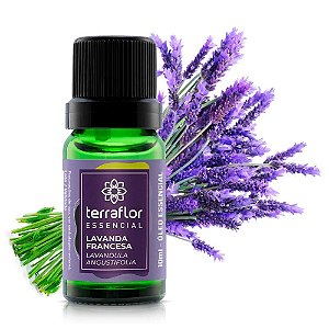 Óleo Essencial de Lavanda Francesa 10mL - Terra Flor