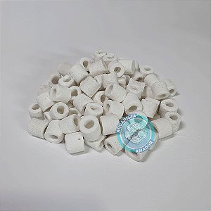 MÍDIA BIOLÓGICA BIOGLASS