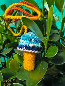 Cogumelo minha praia