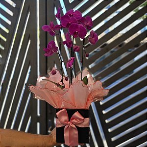 Orquídea para Presente