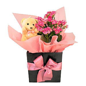 Kalanchoe com mini pelúcia