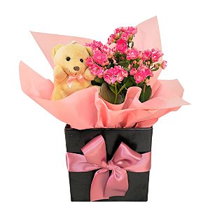 Kalanchoe com mini pelúcia