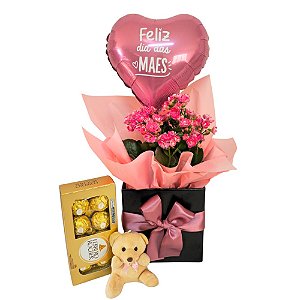 Kalanchoe com Ferrero Rocher 8 unidades e mini pelúcia