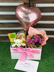 Mimo Manhã/Tarde Amor Com Pelúcia