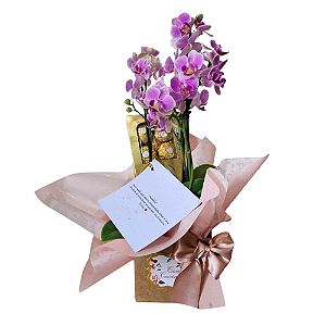 Orquídea Com Chocolate