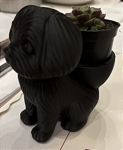 Vaso Lhasa Apso