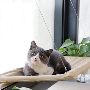 Cama Suspensa para gatos