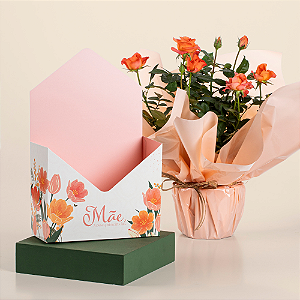 Carta Envelope Mãe, Nosso Primeiro Lar (05 Unidades)