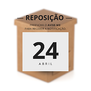 Caixa Gaveta Kraft (02 unidades)