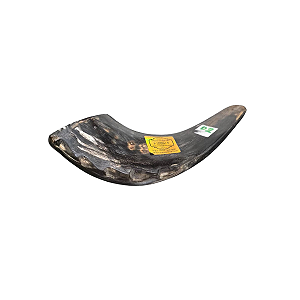 Shofar E1 - Importado de Israel